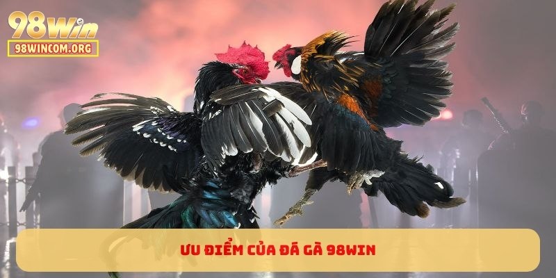 Ưu điểm của Đá Gà 98WIN