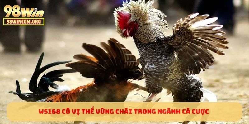 WS168 có vị thế vững chãi trong ngành cá cược