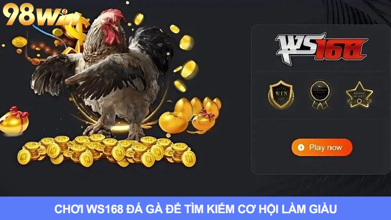 Chơi Ws168 Đá Gà: Cơ Hội Làm Giàu Trong Tầm Tay Của Bạn