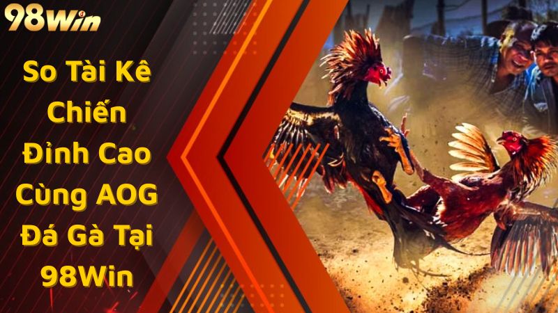 So Tài Kê Chiến Đỉnh Cao Cùng AOG Đá Gà Tại 98Win